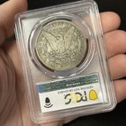 1889 Cc Morgan Silver Dollar  1 Pcgs Vg Details
