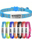 Breakaway Personalized Cat Collar Bell Engraved Name Id Tag Adjustable Kitten Us