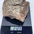 2lb 12oz Old Stock Hampton Butte Green Petrified Wood  Lapidary Rough 001