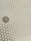 12x12 Vellum Paper With Honeycomb Foil Accents 3 Sheets
