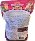 Harvest Cockatiel Food  No Sunflower Seeds  4lb Bag  Vitamin Enriched