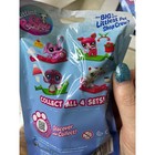 Littlest Pet Shop Sleigh All Day Mystery Box Christmas Holiday Edition 1 Set