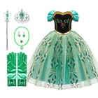 Disney Inspired Frozen Princess Anna Dress Kids Girls Costume Led Lights 3t Up