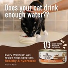 Wellness Core Natural Grain Free Wet Canned Kitten Food  Kitten Chicken   Turkey