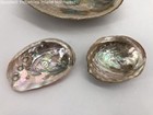 Grab Bag Of 3 Natural Iridescent Abalone Shells 4 2 Oz  Nacre Ocean Sea