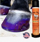 Groom   s Hand Thrush Solution Includes Attached Pick And Spray Solution
