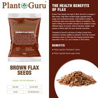 Brown Flax Seeds Whole Grain Seed Flaxseed Non Gmo Linseed  1 Oz To 20 Lbs  Bulk
