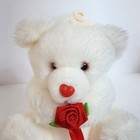 Vintage Dan Dee White Teddy Bear With Rose Heart Nose Plush Stuffed Animal Love