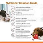 Nylabone Power Chew Ring Bone Chew Toy  Dog Toys For Aggressive Chewers  Flavor 