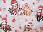 New Christmas Kitty Cat Kittens Red Rudolph Nose Luncheon Paper Napkins - 40ct 