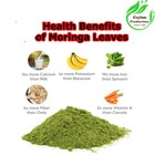 Organic Moringa Tea Bags Natural Moringa Oleifera Herbal Infusion