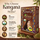 Henna Hair Color Dark Brown   Ammonia-free 0 19 Ounce  pack Of 1  