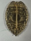 Vintage Obsolete Paragon Guard Pin