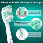 8 Pack Replacement Toothbrush Heads Compatible Philips Sonicare 4100 5100 6100