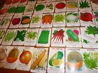 50 Diff Vintage Seed Packet Lot 1950s General Store New Bern N Carolina Pumpkin