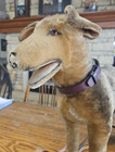 Wow 1923 Large Steiff German Shepherd Mohair Dog Pull Toy W  Ff Button