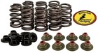 Rzr Xp 900 1000 Kibblewhite Valve Springs Seals Beehive Heavy Duty Spring Kit