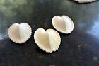 12 Beautiful White True Heart Cockle Shells  1-1 5   Beach Wedding Crafts Decor