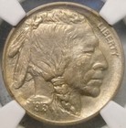 1913 Buffalo Indian Head Nickel Gorgeous Lustrous Beautiful Type 1 Rev Ngc Ms 64