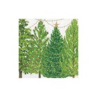 Caspari Christmas Trees With Lights Paper Cocktail Napkins - Cocktail  Multi 
