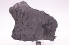 Morasko Etched  Meteorite Full  Slice Weight 129 9  Grams 4 75 Inch