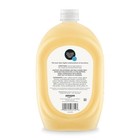 Amazon Basics Liquid Hand Soap Refill  Milk And Honey Scent  Triclosan-free  Ph 