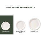 Disposable Plates Compostable Round Plates Heavy Duty 6 8 10 Inch Eco Friendly