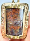 Gf Antique Mourning Locket Moss Agate   Stag    aof    Ancient Order Of Foresters