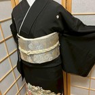 5479  Japanese Tomesode Kimono Vintage Womens Silk Fabric Robe Kimono Only Sold