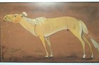 Vintage Horse Chinese Japanese Color Ink Painting Asian Art Signed Framed 