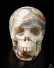 Gemstone 1 6  Red Crazy Lace Agate Hand Carved Crystal Skull  Realistic
