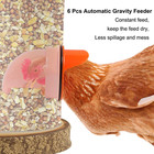 No Waste Chicken Feeder   Waterer Kit     Automatic Poultry Feed Ports Set