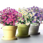 43heads Artificial Flowers Plastic Plants In outdoor Wedding Home Garden Decor