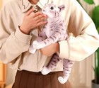 Shorthair Cat 13 Inch Stuffed Animal Plush Toys Toddler Doll Kids Gifts