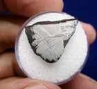 3 43 Gram - Muonionalusta Iron Meteorite  - Etched Specimen - From Sweden