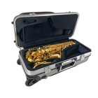Alto Saxophone Case Durable Carbon Fiber -with Wheels backpack Straps  sliver 