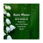 Mrs  Meyer s Clean Day Rain Water Dish Soap Refill - 48 Fl Oz  Removes Grease