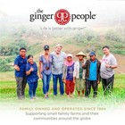 Ginger Juice 99  Pure Ginger Juice By The Ginger People Original Flavor 32 Fl Oz