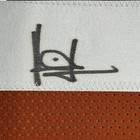 Framed Autographed signed Vince Young 33x42 Texas Orange College Jersey Jsa Coa
