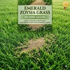 10 000 Emerald Zoysia Grass Seeds      Lawn Turf    Drought   Heat Tolerant