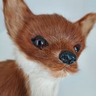    real Fur    Lifelike Chihuahua 9 Inch Tall Dog Figure Made From Real Sheep Fur