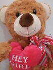 Hug Fun Hug Me Plush Brown Teddy Bear W  Pink  hey Girl  Heart Valentine s Day