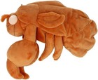 Sun-star Stationery Pencil Case Plush Cicada Shell Brown New