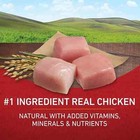 Purina One Dry Dog Food For Adult Dogs High Protein  Real Chicken   Rice  40 Lb