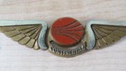 Continental Airlines Vintage Junior Pilot Wings Pinback Collectible