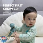 Grosmimi Flip Top Spill Proof Sippy Cup  Ppsu  Bpa Free  10 Oz  Stage 2 Straw