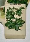 Set Of Six Old Antique Greens Seed Packets