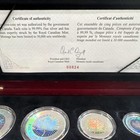 Royal Canadian Mint 5-coin Silver Proof Set 0 9999 Silver Certificate  00824