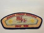 Saratoga County Council   merged  Csp Boy Scout Bsa Patch  