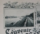 Estonia Souvenir De Narva Before 1904 Year